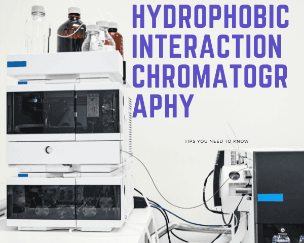 hydrophobic interaction chromatography 1 1