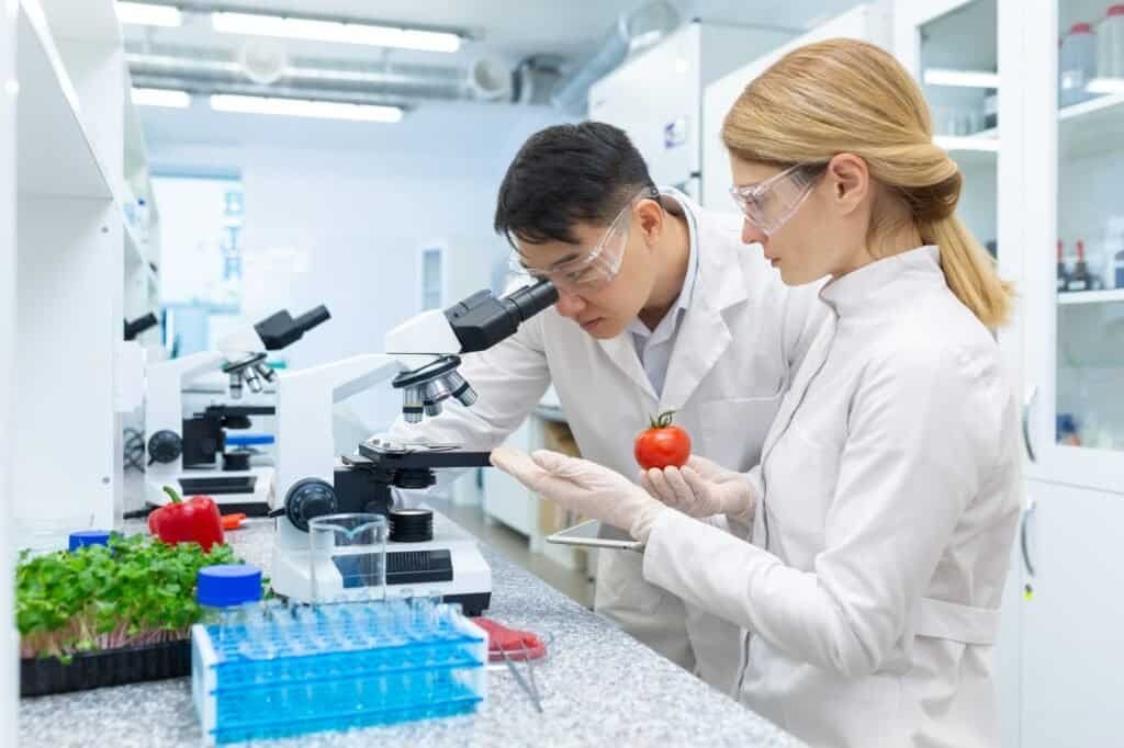 Scientist team asian man and woman testing and researching food, researchers testing vegetables