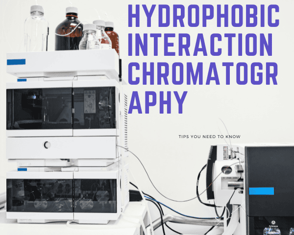 hydrophobic interaction chromatography